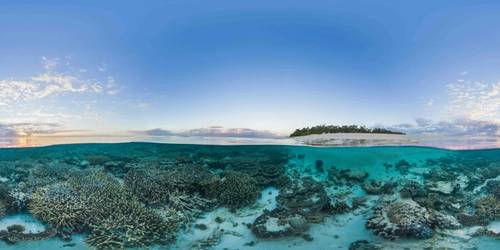© Adobe Stock/The Ocean Agency