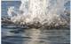 Figure 1. An eye-catching demonstration of Buoyant Force!  (Photo courtesy of Teledyne Benthos, 2010)

