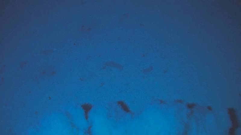 Figure 1a: A plume of sediment is kicked up as the benthic lander Audacia touches down at 8,024m on January 26, 2018. On the next dive the benthic lander reached the deepest depth of the Peru-Chile Trench, 8,081m.  Holothurians, amphipods, polychaetes, and other animals were observed, and some captured in a baited trap.  The lander was operated from the Chilean scientific vessel Cabo de Hornos, operated by the Chilean Armada. (Image: Courtesy Kevin Hardy and Atacamex 2018)