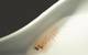 Figure 4: A small, delicate shrimp, alive and in perfect condition, collected by the Mocness plankton net. (Image: Courtesy Kevin Hardy and Atacamex 2018)