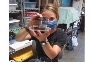 Figure 1. Stony Brook University PhD candidate, Ashley Nicoll, assembles the interior mount for a GoPro Hero/CamDo Blink controller time lapse underwater camera. The springs are used to gently press the camera against the interior face of the acrylic viewport. Read about Ashley’s MS project in Lander Lab #2, MTR, Vol. 65, #3, March/April 2022. (Photo by Kevin Hardy, Global Ocean Design.)