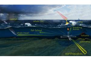 To probe the ocean’s opaque interior, sound is one of the most efficient tools available. WHOI scientists have developed an “acoustic telescope” to “see” into a noisy ocean and pick out unique sounds produced by distant acoustic phenomena, such as whale calls and fish schooling, as well as the rumble of earthquakes, volcanoes, and storms© Woods Hole Oceanographic Institution, N. Renier