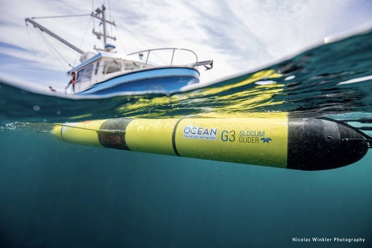 An OTN Teledyne Webb Research Slocum glider. © Nicolas Winkler Photography,